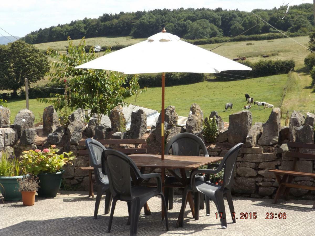 Henblas Holiday Cottages Аберґеле Екстер'єр фото